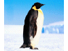 Captcha image 5490