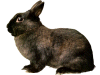 Captcha image 9466